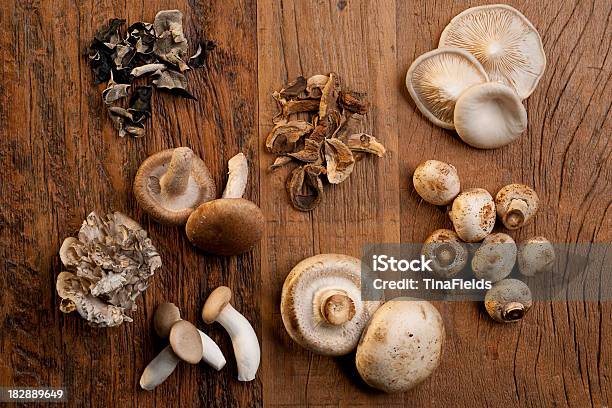 Various Mushrooms Used On Cooking Stock Photo - Download Image Now - Edible Mushroom, Shiitake Mushroom, Variation