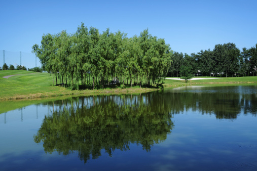 Beautiful landscape and lake with tree reflection near by golf course