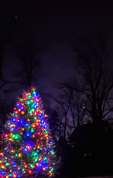 istock Outdoor Christmas Tree with Colored Lights under a Starry Sky 1828899669