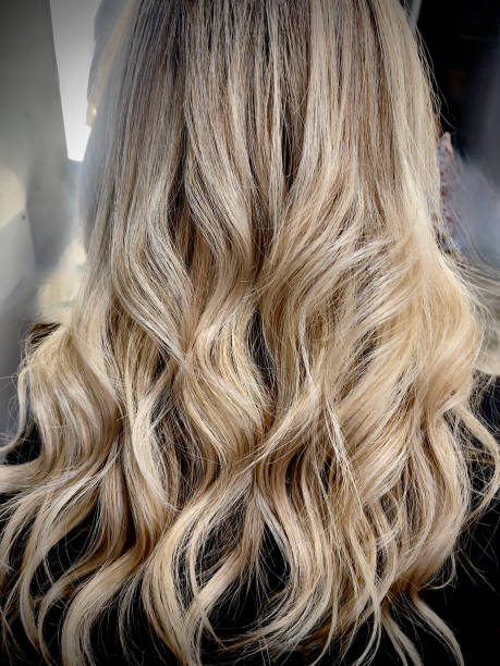 istock Blonde Highlights on Long Hair 1828899687