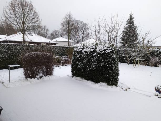 istock The onset of winter in Germany. 1828901826