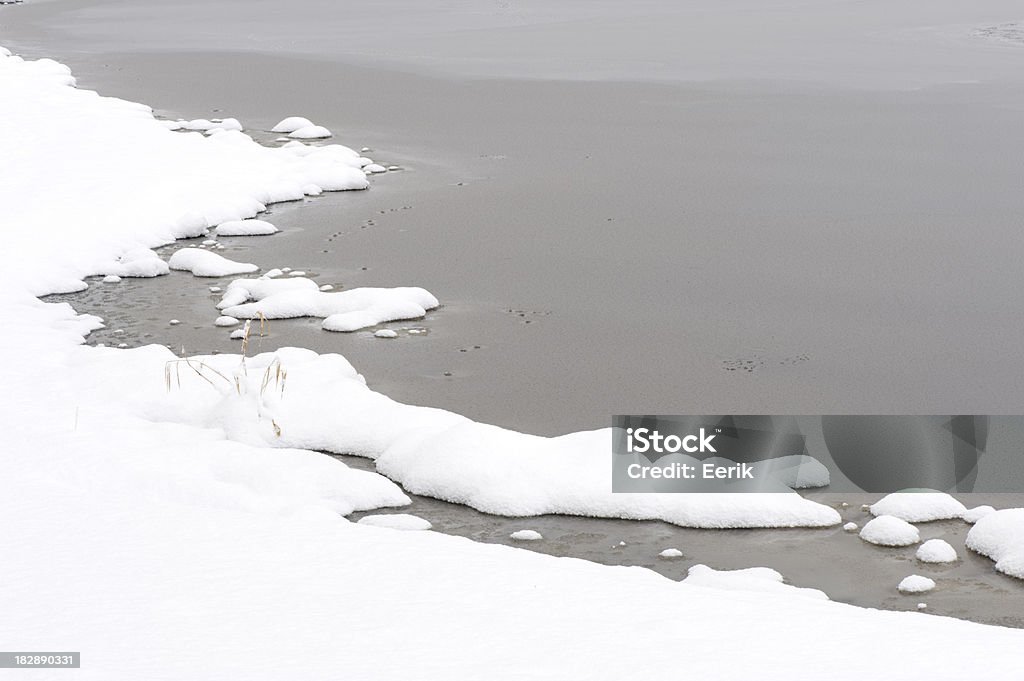 Śnieg na lake shore - Zbiór zdjęć royalty-free (Arktyka)