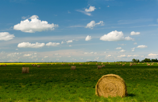 Big bale of hay on the prairies.