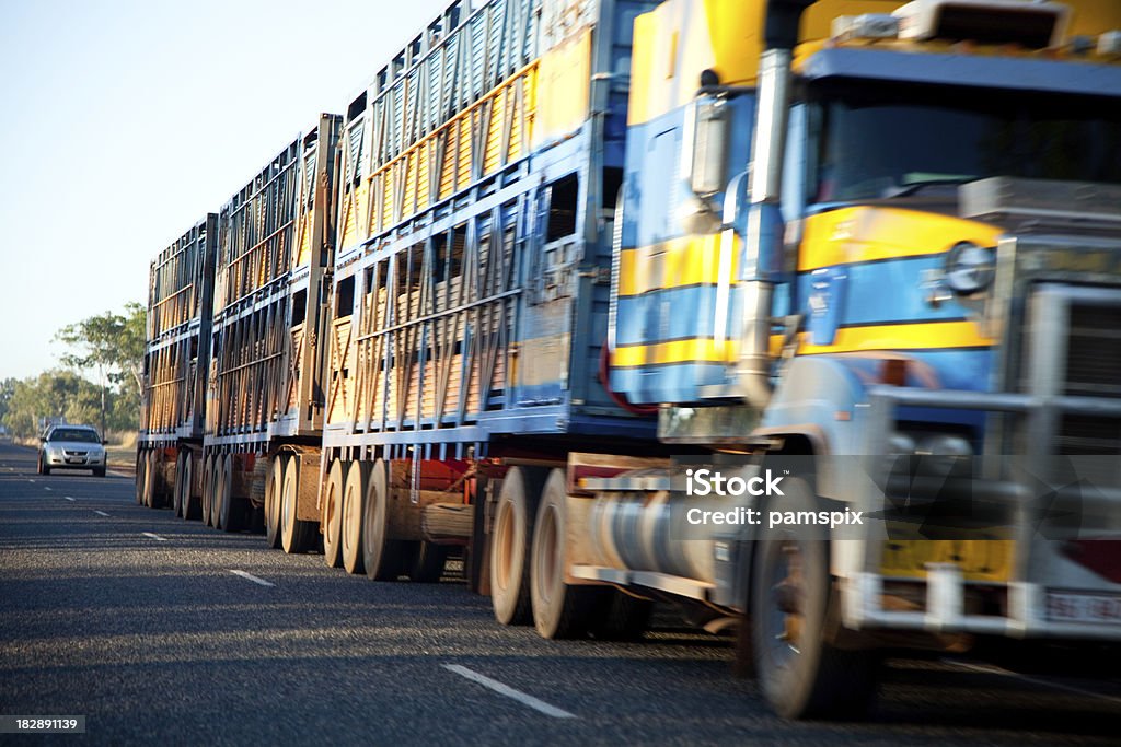 Grande camion di bestiame lungo o camion guida su strada - Foto stock royalty-free di TIR
