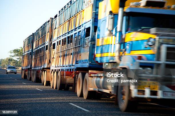 Grande Camion Di Bestiame Lungo O Camion Guida Su Strada - Fotografie stock e altre immagini di TIR