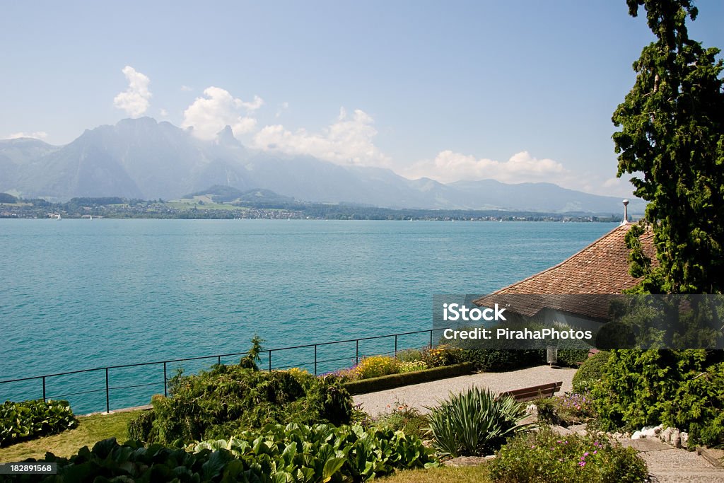 Jezioro Thun - Zbiór zdjęć royalty-free (Alpy)