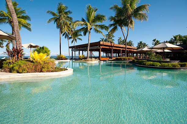 Three Fijian palm trees blowing in the wind with gorgeous turquoise waters in the background