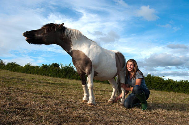 istock Tickling the pony's ankle 182892261
