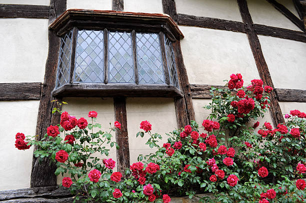 lumières fenêtre médiévale de plomb - tudor style house timber window photos et images de collection