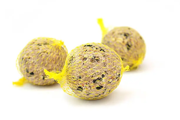 three tallow balls (suet cake) for feeding wild birds - isolated on white - shallow dof