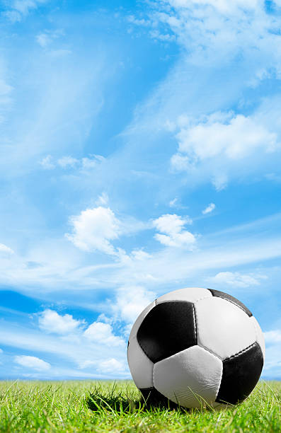 istock Black and white soccer ball on grass under blue sky 182892462