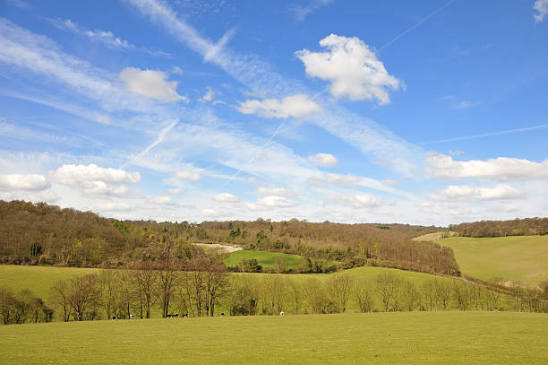 istock Lush english countryside 182892711
