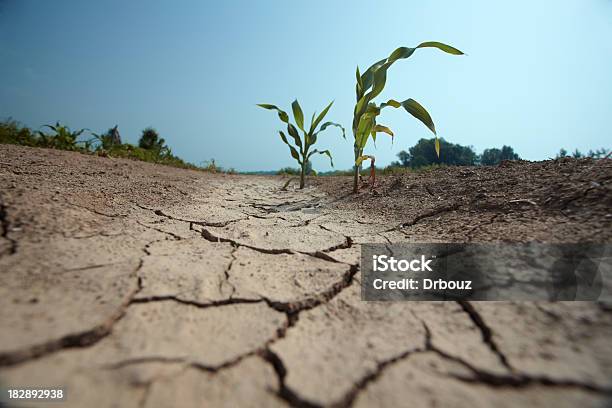 Drought Stockfoto en meer beelden van Droogte - Droogte, Landbouw, Warmte