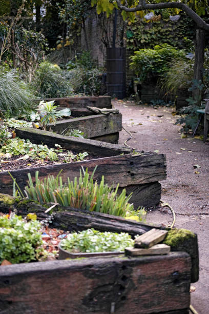 istock The Garden in Haggerston Park 1828933214