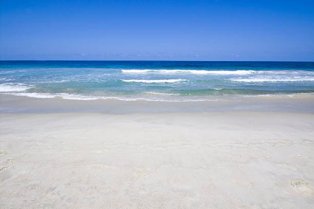 istock Tropical  caribbean beach with white sand 182893342