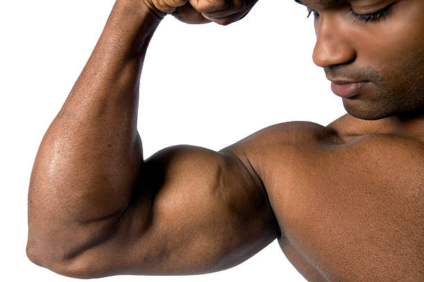 Arm with bulging bicep stock photo