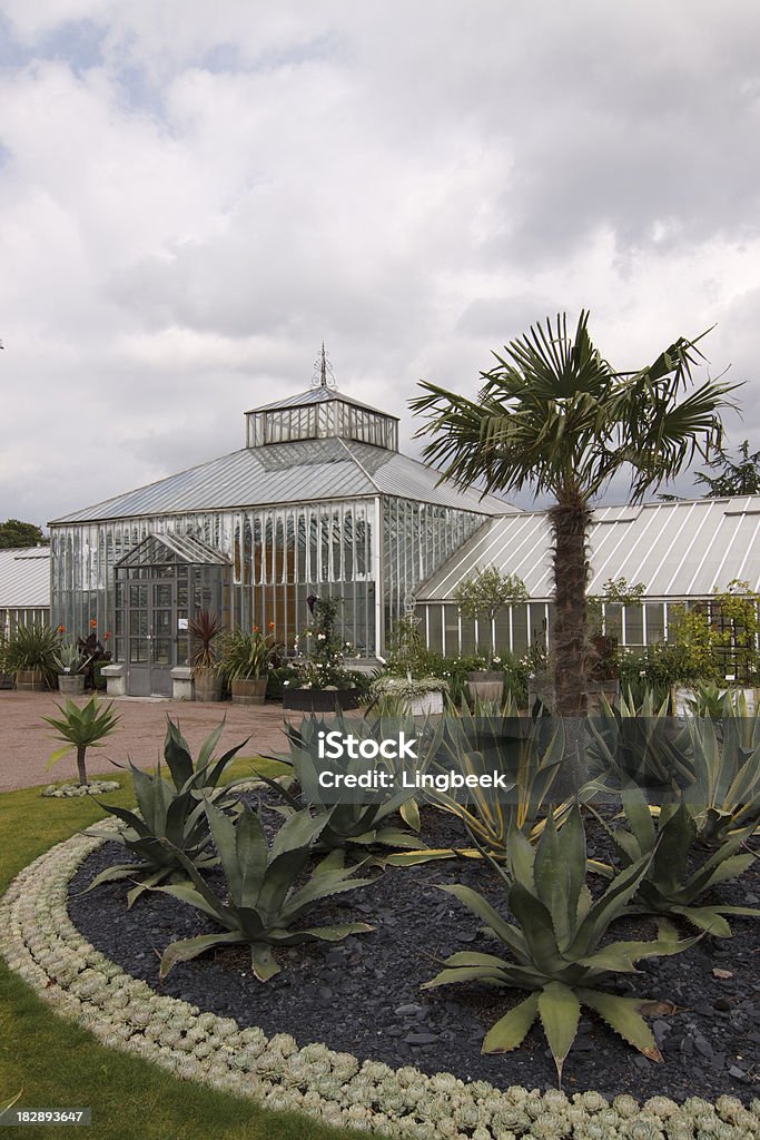 Jardin botanique de Göteborg, Suède - Photo de Palm House libre de droits