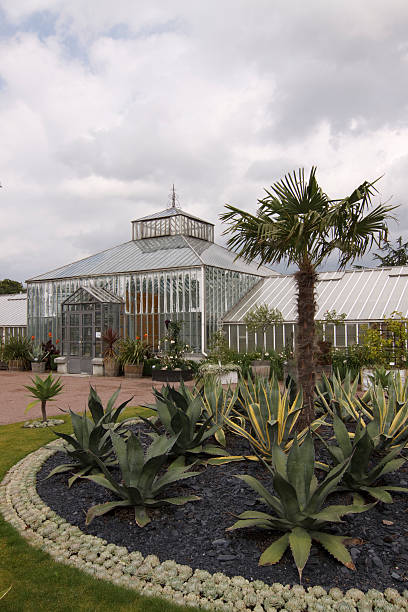 istock Gothenburg Botanical garden Sweden 182893647