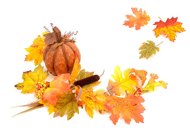 istock Pumpkin and Autumn Leaves On White 182893659