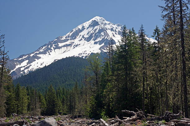 istock Mt. Hood in Summer 182893842