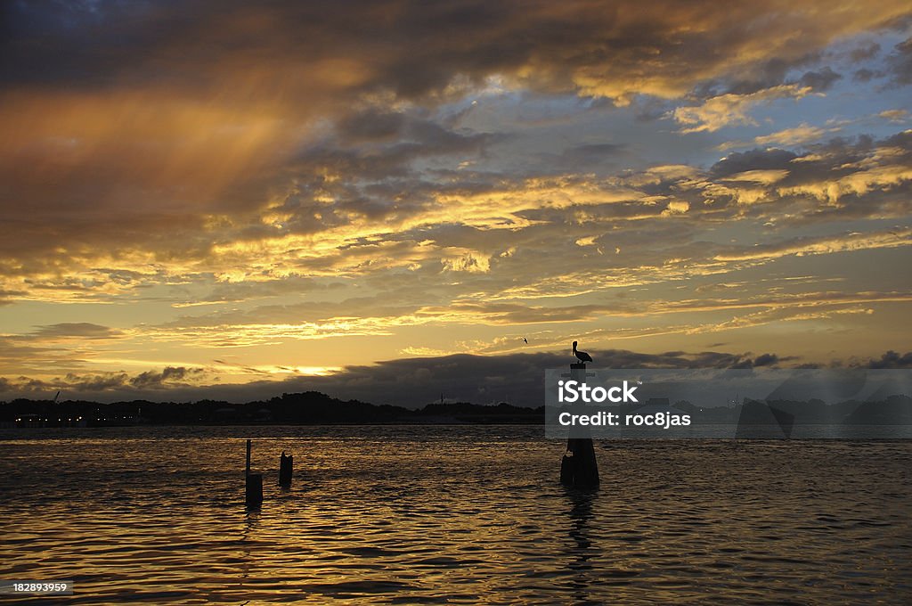 St. John Pellicano - Foto stock royalty-free di Fiume Saint John