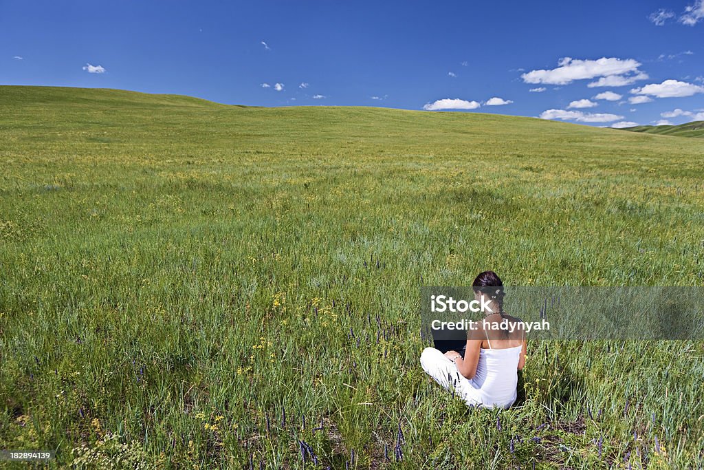 Jeune femme avec ordinateur portable sur l'herbe - Photo de Achats en ligne libre de droits