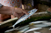 frische-meer-fische-in-einer-stadt-markt.jpg?b=1&s=170x170&k=20&c=p-8EDPqE-o9j7fQWBZPZJZh70L_ipLqRHGYDl-vaCLI=