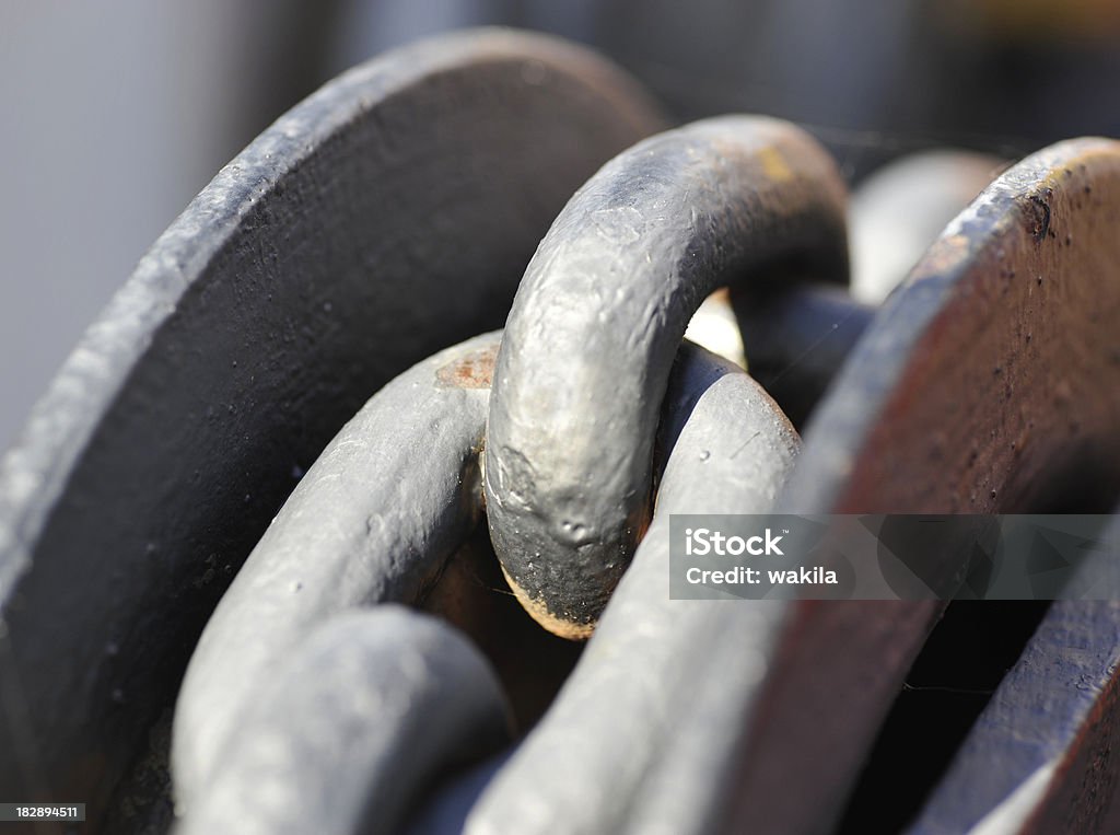 Große Ketten-anchor coral - Lizenzfrei Abstrakt Stock-Foto