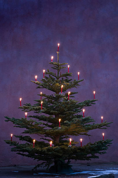 árbol de navidad decoración con velas rojo - feierlich fotografías e imágenes de stock