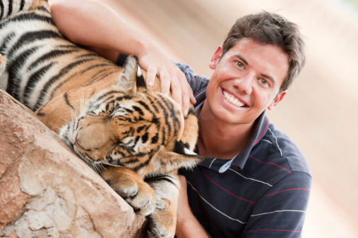 Petting a Baby Bengal Tiger (XXXL)