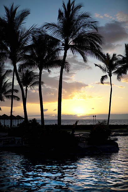 istock Tropical Resort Pool By The Ocean Sunset 182894887