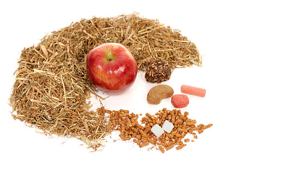 istock Horse Treats 182895084