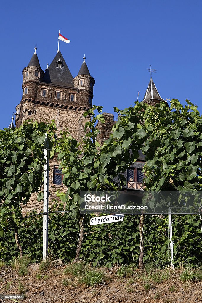 Château et les vignobles - Photo de Allemagne libre de droits