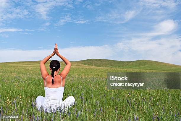 Jovem Mulher Praticar Yoga No Prado - Fotografias de stock e mais imagens de Adulto - Adulto, Ao Ar Livre, Atividade Recreativa