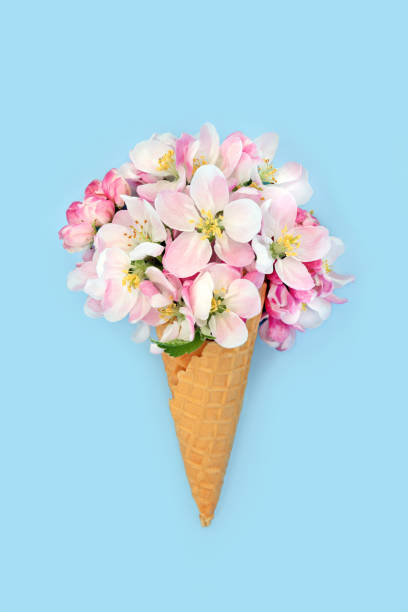istock Surreal Ice Cream Cone with Apple Blossom Flowers 1828956878