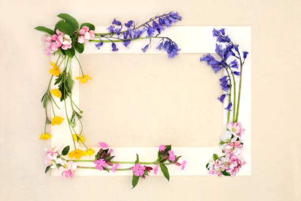 Spring Frame Nature 8,900+ First Day Of Spring Stock Photos, Pictures & Royalty-Free Images ...