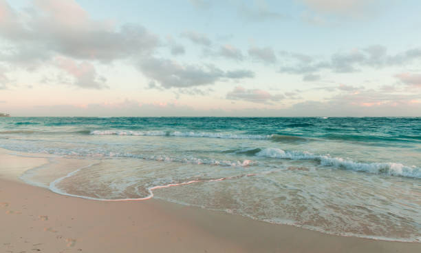istock Dominican republic, Bavaro beach. Coastal landscape 1828960197