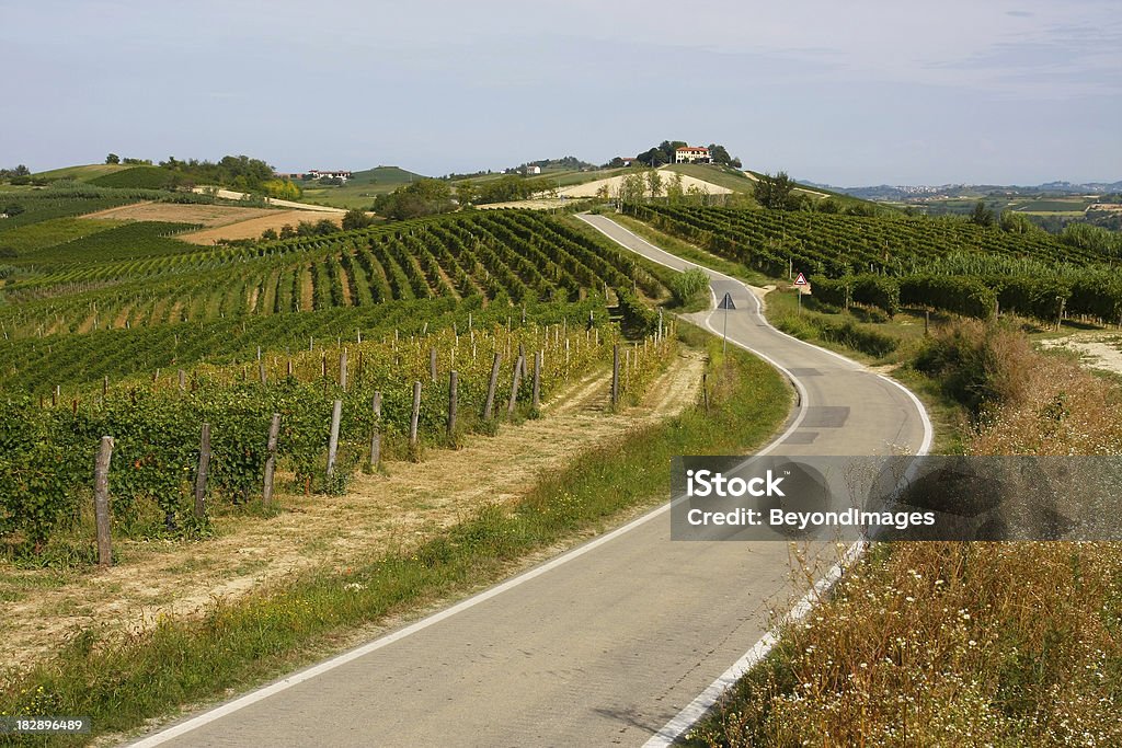 La campiña toscana clásica - Foto de stock de Aire libre libre de derechos