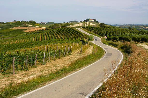 istock Classic Tuscan countryside 182896489