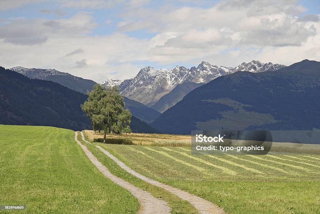 Chemin dans les Alpes - Photo de Alpes de l'Engadine libre de droits