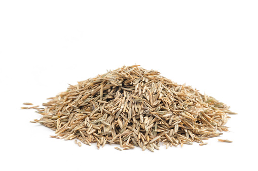 A close up shot of a pile of grass seed isolated on white background.