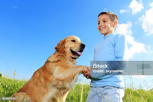 El Perro Da Pata Niño Foto de stock y más banco de imágenes de Aire libre - Aire libre, Alegre, Amistad