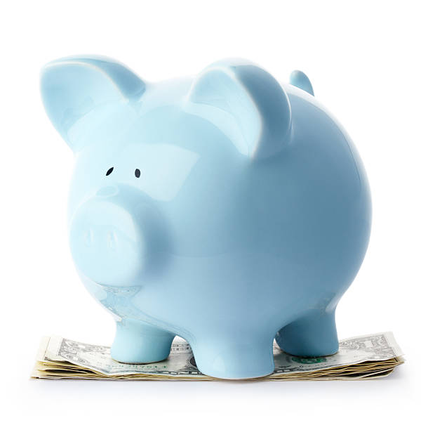 Piggy bank standing on US dollars stock photo