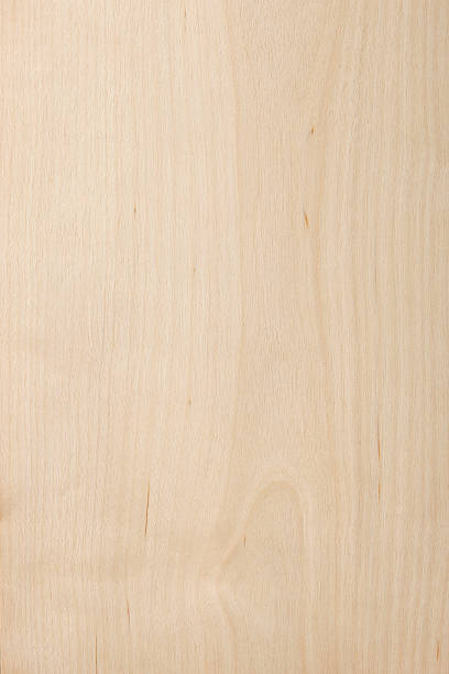 textura de madeira - wood birch wood grain textured - fotografias e filmes do acervo