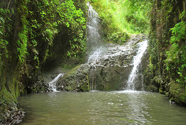 maunawili 폴즈 오아후, 하와이 - spring stream landscape boulder 뉴스 사진 이미지