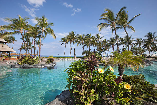 istock Tropical Resort Swimming Pool 182897792