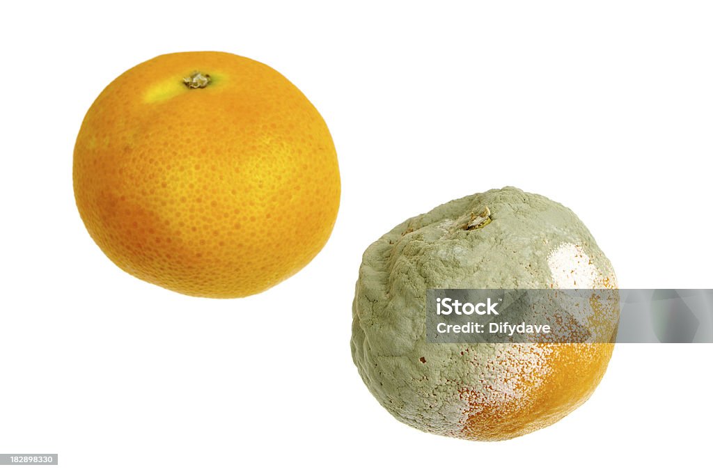 Свежие и Mouldy апельсинов Изолирован на белом - Стоковые фото Без людей роялти-фри