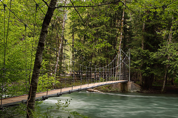 istock Bridge and River in Mount Rainier National Park 182898818