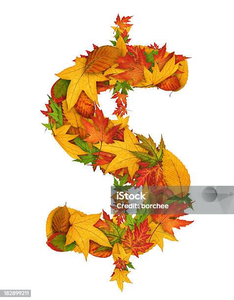 Осенняя Распродажа — стоковые фотографии и другие картинки Валюта - Валюта, Осень, Лист