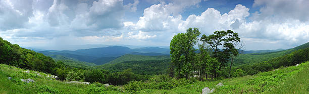 paisaje de primavera - treelined tree shenandoah river valley blue ridge mountains fotografías e imágenes de stock